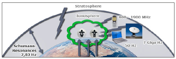 Click here to view Large image 7
