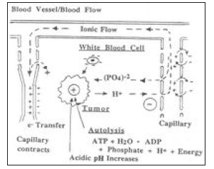 Click here to view Large image 9