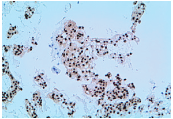 Click here to view Large image 4