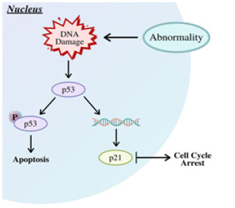Click here to view Large image 2