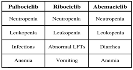 Click here to view Large image 6