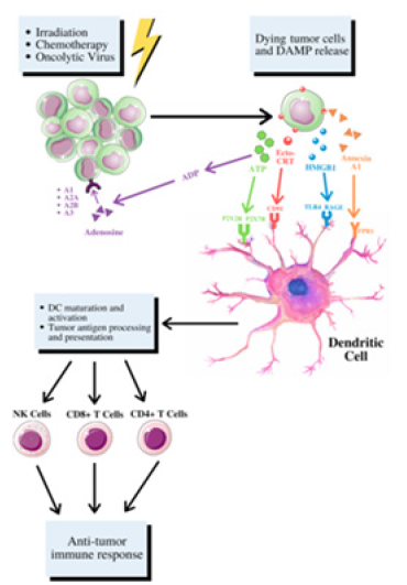 Click here to view Large image 3
