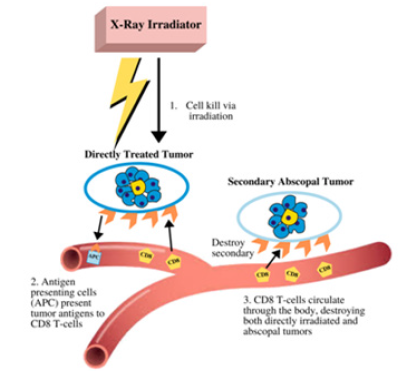 Click here to view Large image 4