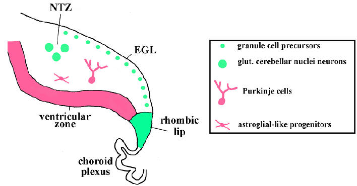 Click here to view Large image 1