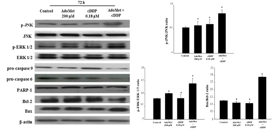 Click here to view Large image 2