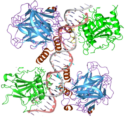 Click here to view Large image 1