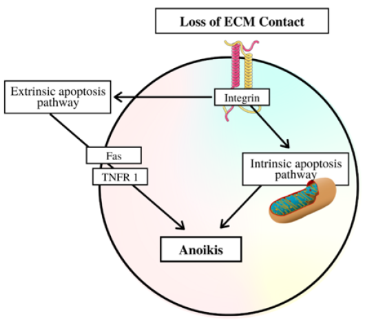 Click here to view Large image 2