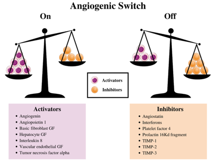 Click here to view Large image 1