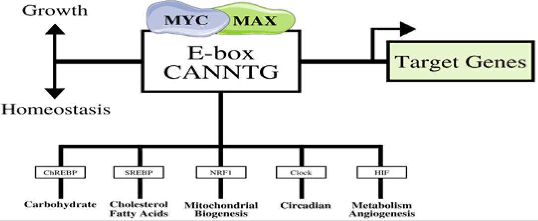 Click here to view Large image 1