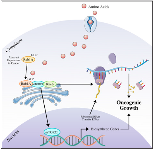 Click here to view Large image 2