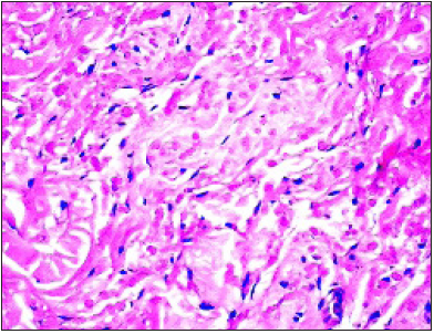 Click here to view Large image 1