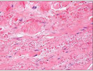 Click here to view Large image 2