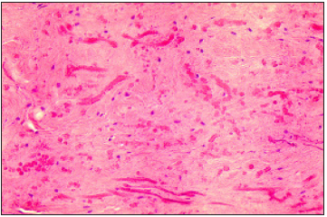 Click here to view Large image 3