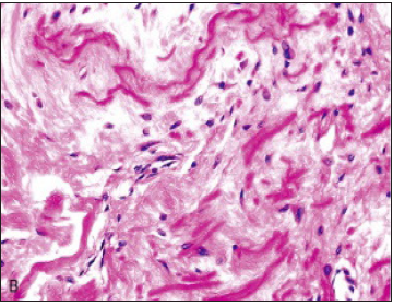 Click here to view Large image 4