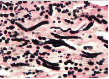 Click here to view Large image 5