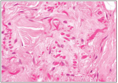 Click here to view Large image 6