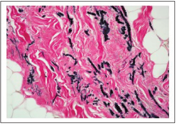 Click here to view Large image 8