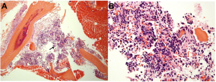 Click here to view Large image 2