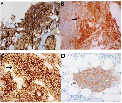 Click here to view Large image 3