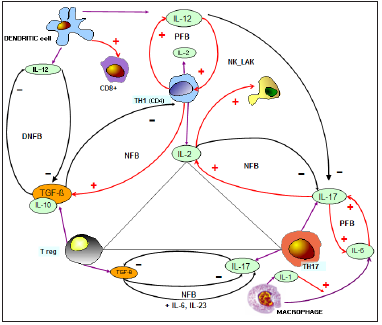 Click here to view Large image 1