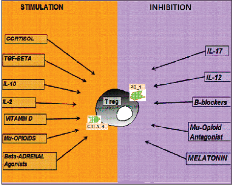 Click here to view Large image 2