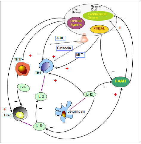 Click here to view Large image 3