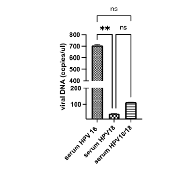 Click here to view Large image 2