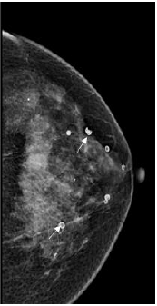 Click here to view Large image 6