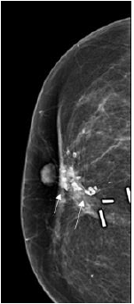 Click here to view Large image 7