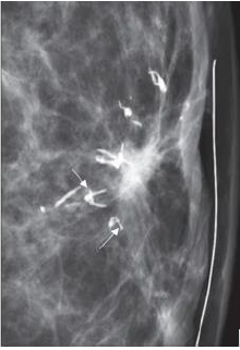 Click here to view Large image 9