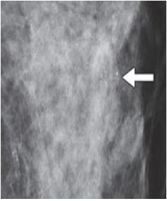 Click here to view Large image 10