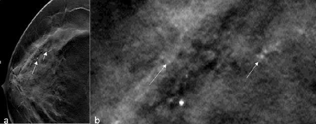 Click here to view Large image 12