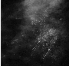 Click here to view Large image 13