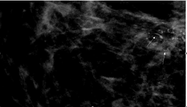 Click here to view Large image 15