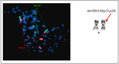 Click here to view Large image 4