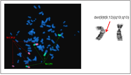 Click here to view Large image 5