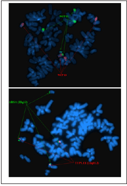 Click here to view Large image 6