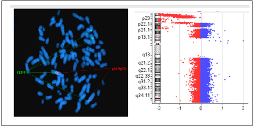 Click here to view Large image 9