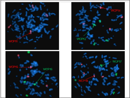 Click here to view Large image 11