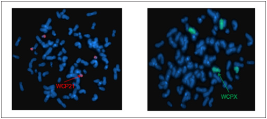 Click here to view Large image 12