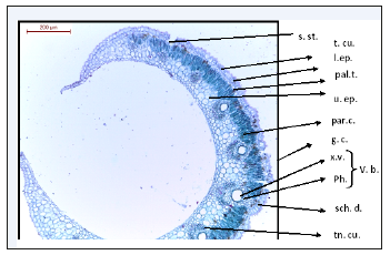 Click here to view Large image 1
