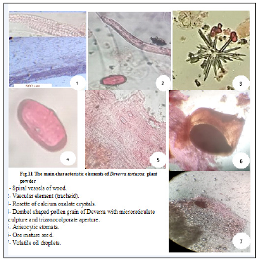 Click here to view Large image 11