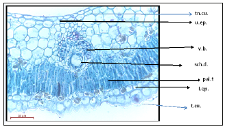 Click here to view Large image 2