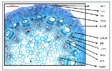 Click here to view Large image 3