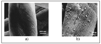 Click here to view Large image 6