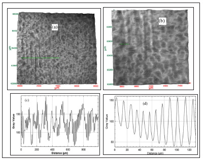 Click here to view Large image 10