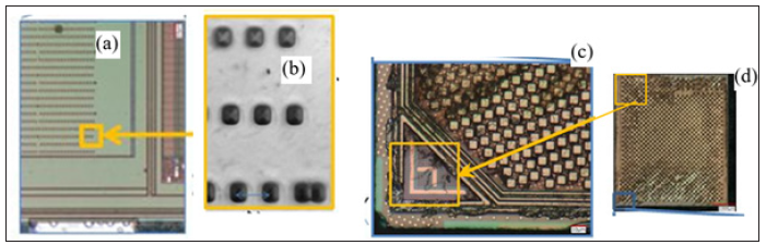Click here to view Large image 4