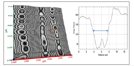 Click here to view Large image 9