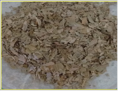 Click here to view Large image 1