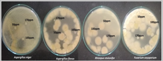 Click here to view Large image 10